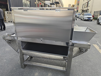 Éplucheuse à ail commerciale pour usine de poudre d'ail (220V/380V) – Éplucheuse à bande facile à nettoyer pour l'industrie alimentaire
