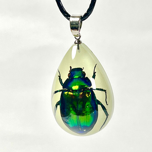 発光樹脂本物の昆虫ペンダントアンバーネックレス昆虫ジュエリーカブトムシサソリレディーバグネックレス男性用特別ギフト - Product Image 6