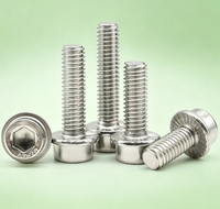Tornillo de Cabeza Cilíndrica con Ranura Hexagonal Estándar DIN251, Acero Inoxidable 304, M5-M12, Fijación Industrial