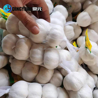 Machine à filets en plastique pour l'emballage de l'ail et des fruits