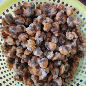 เนื้อหอยเชลล์แช่แข็งจากจีน เนื้อหอยเชลล์แช่แข็ง - Product Image 4