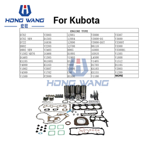 Repuestos de Motor para CUMMINS, CATERPILLAR, PERKINS, HINO, MITSUBISHI, KUBOTA, Kit de Reparación General - Product Image 3