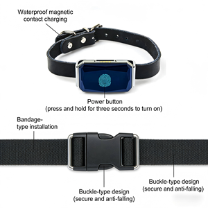 เครื่องติดตาม GPS G12 แบบไร้สายอัจฉริยะ ป้องกันการสูญหาย กันน้ำ สำหรับแมวและสัตว์เลี้ยงขนาดเล็ก ขายส่ง - Product Image 5