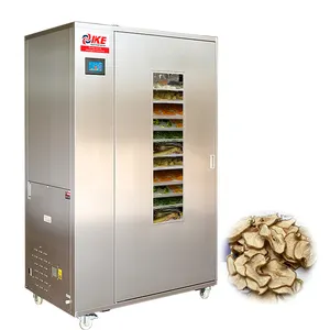 Heat pump dried fruit drying machine equipment fish laboratory drying oven