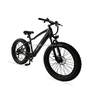 <span class=keywords><strong>Bicicleta</strong></span> eléctrica <span class=keywords><strong>Phoenix</strong></span> 500W Ebike Fat Tire Ebike hidráulica Marco de aluminio Cinturón Cadena <span class=keywords><strong>Bicicleta</strong></span> eléctrica de montaña - Product Image 6