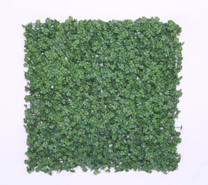 Artificial Green Wall and <strong>Easy</strong>-to-Care-for Indoor <strong>Plant</strong> Collection