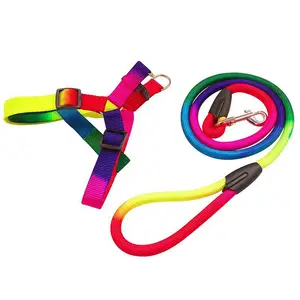 Set di imbracature per cani riflettenti regolabili cucciolo di animale domestico con catena per cani sul petto corda di trazione per cani guinzaglio in nylon arcobaleno