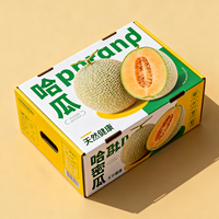 Boîte cadeau personnalisée pour pommes avec poignée, boîte d'emballage pour fruits en carton ondulé imperméable, production en 72h