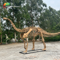 Réplique de squelette de dinosaure, dinosaure simulé pour parc à thème, os de dinosaure