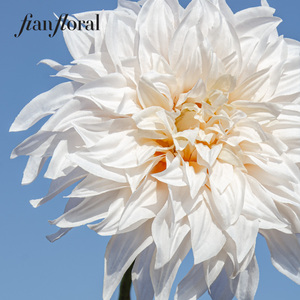 FONG IAN Nouvelle Arrivée Automne Fleurs Artificielles Grandes <span class=keywords><strong>Dahlia</strong></span> Effet Naturel <span class=keywords><strong>Café</strong></span> au Lait pour Décoration Mariage Saint-Valentin - Product Image 4