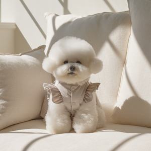 2025 sonbahar ve kış yeni iki parçalı haki yay kazak ceket + kürk eşarp kedi küçük köpek giysileri - Product Image 3