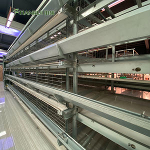 Tipo H Capa de pollo <span class=keywords><strong>jaula</strong></span> de aves de corral equipo listo <span class=keywords><strong>para</strong></span> nave automática de soldado con autógena galvanizado <span class=keywords><strong>jaula</strong></span> de alambre <span class=keywords><strong>para</strong></span> pollos sistema - Product Image 5