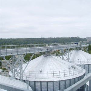 Trasportatore di trascinamento di alta qualità per il mais - Product Image 5