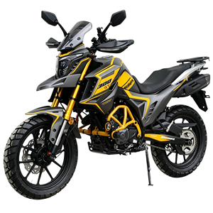 ¡Oferta! Motocicleta Todoterreno 250cc con Enfriamiento por Aceite, Motor Loncin FE250, Modelo Tekken300 300cc, Precio Mayorista 2026 - Product Image 4