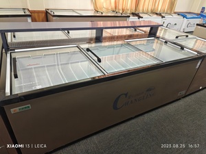Réfrigérateur Commercial pour Glaces et Sorbets 366L, Vitrine Réfrigérée, Congélateur Supérieur - Product Image 6