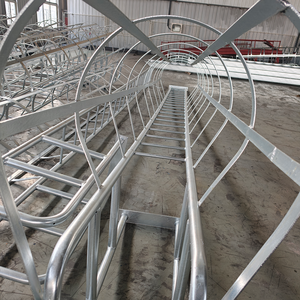 Escalera de Acceso Vertical Personalizada para Torres, Chimeneas y Tanques de Almacenamiento, Escalera en Jaula Estándar ISO - Product Image 4