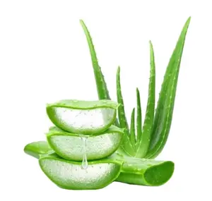 Best Quality aloe vera gel after sun aloe vera beauty products skin treatments uses from Indian Supplier