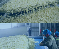 Volledig automatische verwerkingslijn voor groente-, aardappel-, banaan- en frietchips, met aangepaste capaciteit en multi-voltage voor snacks.