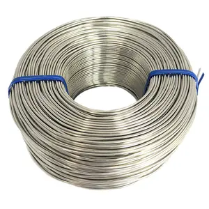 Spring Stainless Steel Wire 304H/316 Aisi 304 Rod High 0.04mm 0.8mm 1mm 0.13mm Stainless Steel Wire