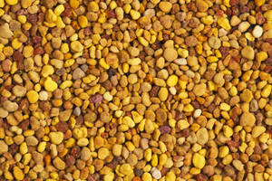 <span class=keywords><strong>Polen</strong></span> de abeja natural, orgánico puro y <span class=keywords><strong>fresco</strong></span>, a la venta, de loto/crisantemo/agripalma/Schisandrar/pino - Product Image 3