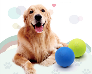 Yüksek kaliteli yıkılmaz kauçuk çiğnemek topu diğer günlük ihtiyaçlar - Product Image 5