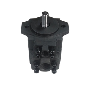 YLC PV2R2 Series Hydraulic Vane Pumps New and Used Condition Available YLC PV2R2 Vane Pump High Strength Cast <b>Iron</b> Hydraulic Pum - Product Image 5