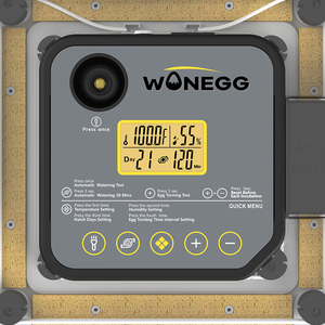 Larga vida útil 2025 WONEGG días de incubación pantalla 48 huevos incubadora bandeja de huevos multifuncional adecuada para diferentes huevos - Product Image 6