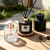 Bouteille diffuseur à roseaux en verre noir personnalisée de 140 ml, vide, ronde, pour aromathérapie, pour parfum d'intérieur