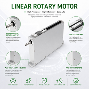 Motore Lineare Rotativo Serie GLR GLR-1625 per Attrezzature di Vulcanizzazione del Silicone, Corsa 25mm, Spessore 16mm, Componente di Azionamento Automatizzato - Product Image 2