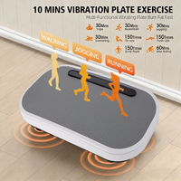 Mini Plataforma Vibratoria Colorida de Material ABS, Máquina de Vibración de Precisión para Todo el Cuerpo
