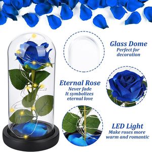 Rose rouge <span class=keywords><strong>La</strong></span> <span class=keywords><strong>Belle</strong></span> <span class=keywords><strong>et</strong></span> <span class=keywords><strong>la</strong></span> Bête en verre avec lumières, rose artificielle unique dans un dôme en verre, cadeau pour maman pour <span class=keywords><strong>la</strong></span> Saint-Valentin - Product Image 6