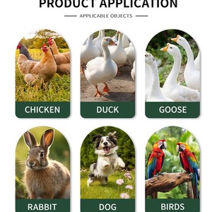 Pollaio Mobile da Esterno in Acciaio Zincato Gabbia Recinto Casetta per Galline e Anatre - Product Image 6