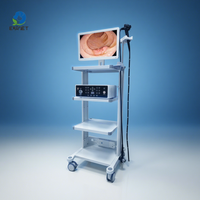 Instruments chirurgicaux EURVET, vidéo-gastroscope médical, colonoscope, endoscope vétérinaire, écologique, utilisation hospitalière, portable