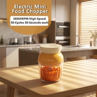 Multifunctionele fruit- en groenteverwerker, USB mini elektrische draagbare voedselprocessor, elektrische snijmachine voor knoflook en ui