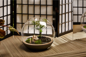 Matériau <span class=keywords><strong>en</strong></span> <span class=keywords><strong>verre</strong></span> et couleur claire plante d'intérieur géométrique <span class=keywords><strong>terrarium</strong></span> <span class=keywords><strong>en</strong></span> <span class=keywords><strong>verre</strong></span> <span class=keywords><strong>bouteille</strong></span> <span class=keywords><strong>en</strong></span> <span class=keywords><strong>verre</strong></span> Biodome Rainforest <span class=keywords><strong>Terrarium</strong></span> - Product Image 2