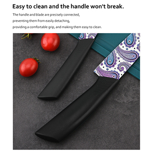 Ensemble de couteaux utilitaires de qualité supérieure en gros, lames en céramique plastique - Présentation de luxe pour cadeaux de mariage, événements spéciaux, livraison gratuite - Product Image 6