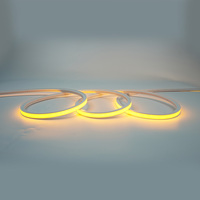Jiuzhu Outdoor 24V IP67 10-10 avec bords en silicone, corde lumineuse LED de jardin avec Wi-Fi et dimmable 2200K-6000K