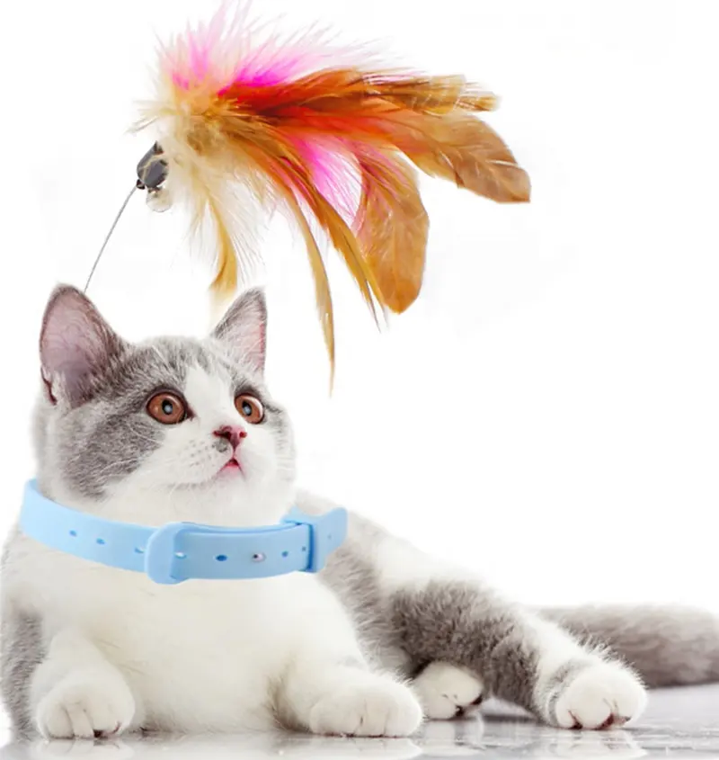 BunnyHi PET037 Indoor Wearable Cat Teaser Toys Self Play Detachable Stick Toy Interactive Cat Feather Toys with Collar for Chase
