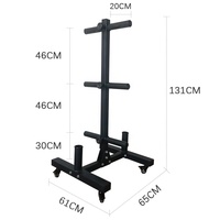 PINJIAN Support de rangement pliable moderne en métal pour disques de poids avec roulettes pour salle de sport à domicile