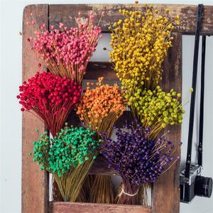 Grossista di fabbrica B-2570 fiori di respiro del bambino conservati fiori di Gypsophila per la casa e la decorazione di nozze - Product Image 6