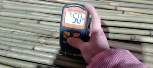 All'ingrosso canne/pali/pali/pali di bambù crudi pali di bambù canne di bambù giganti partizioni di bambù decorazione e costruzione della casa - Product Image 2