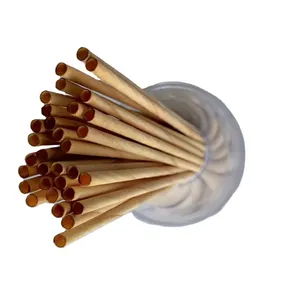 Hot Sale Restaurants and cafes fully biodegradable, cost-effective disposable wooden straws Cafe straws