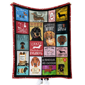 Tùy Chỉnh <span class=keywords><strong>Polyester</strong></span> Flannel Lông Cừu Chăn Dệt Kim Logo In Ấm Mềm Sofa Ném Mùa Đông Vua Kích Thước Cho Nhà Bệnh Viện Du Lịch - Product Image 1