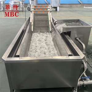 Ligne de Machine de nettoyage personnalisée en usine pour le traitement du lavage des bulles Machine de nettoyage des légumes/fruits/champignons - Product Image 3