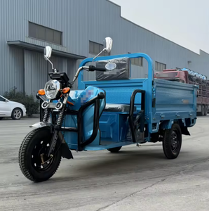 Triciclo de Gran Capacidad de 1500W, Venta al por Mayor de Fábrica, Motocicleta de 3 Ruedas - Product Image 1