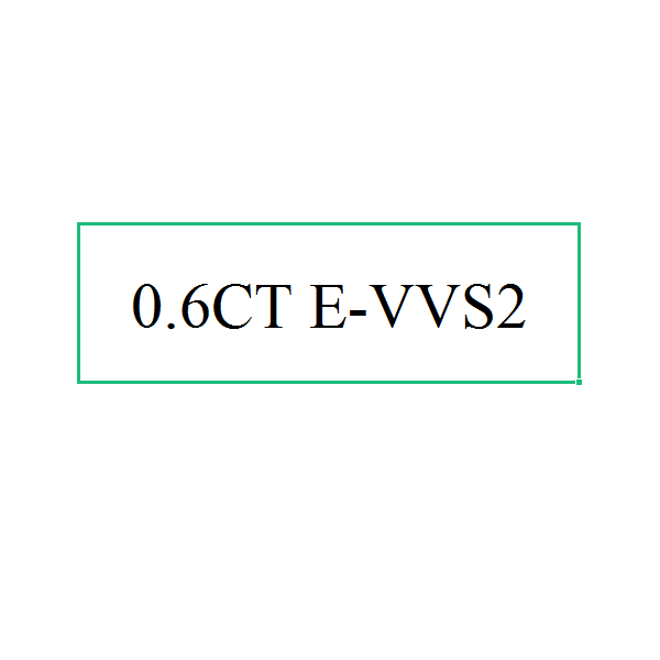 0.6CT E-VVS2