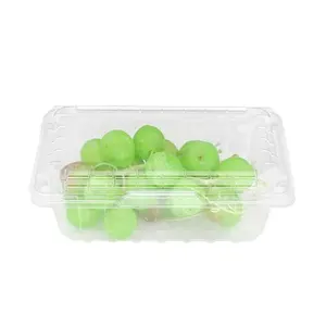 Blister Wegwerp Plastic Verpakking Voor Vlees Groente Fruit Food Grade Gerecycled Huisdier Plastic Verpakking Zonder Deksel