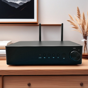 Lecteur <span class=keywords><strong>WiFi</strong></span> Multifonctionnel Professionnel Transfrontalier pour Usage Domestique avec Amplificateur Hi-Fi 2.1 Canaux Intégré de Qualité Audiophile - Product Image 1