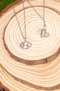 Collier Bohème Glamour Unisexe en Acier Inoxydable Plaqué Argent avec Signes Astrologiques des 12 Constellations du Zodiaque - Product Image 6