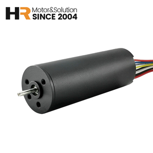 Motor de Imán Permanente de 16 mm 1645BL con Conmutación Eléctrica, CC 24V 12V, con Tratamiento Anticorrosión para Exploración de Pozos Petroleros - Product Image 1
